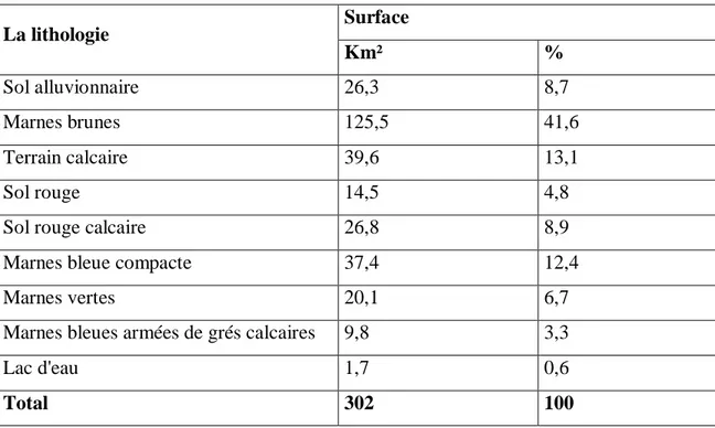 Tableau 06 : Lalithologie de la zone d’étude 