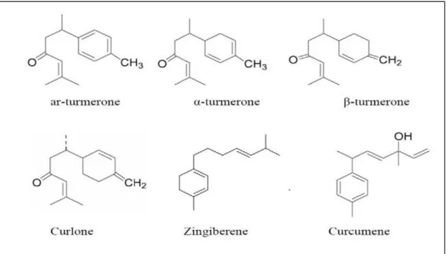 Figure 9 : Structure chimique des principaux constituants de l’huile essentielle de curcuma  (Dohare et al., 2008) 