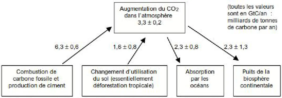Figure 07 : Flux de carbone entre l’atmosphère continentale pour la période 1989-1998 (d’après Watson et al, 2000)