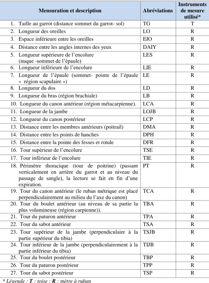 Tableau 02 : Liste des mesures morphométriques réalisées sur les chevaux  Mensuration et description      Abréviations 