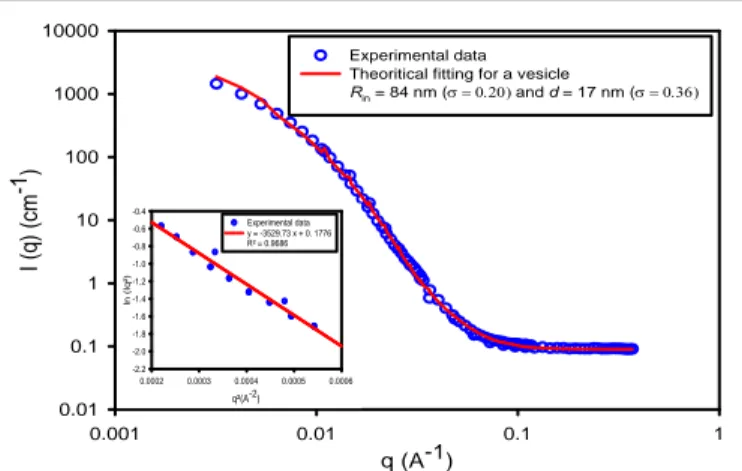 Figure 2. SANS curves of PEO 45 -b-PCL 111  vesicles: experimental data are plotted as open  circles while solid lines represent the simulated intensity considering the form factor of  hollow spheres with log-normal distributions on both R in  and d, whose