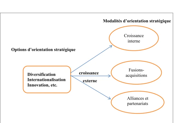 Figure 4 : Les modalités de développement stratégique 13
