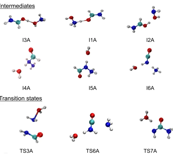 Fig. 3. Structures of most relevant intermediates and transition states as obtained from reactions 3, 4, and 5