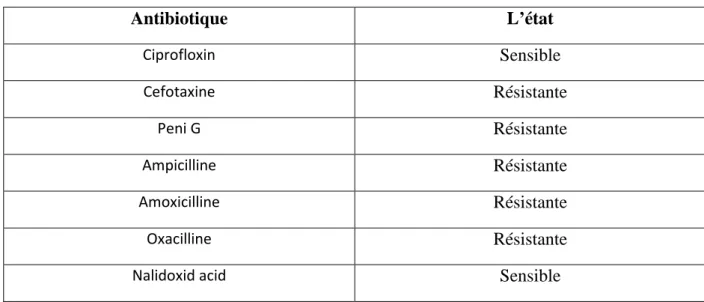 Figure 25 : Antibiogramme de 2 P ème P  cas      U Résultats : U   