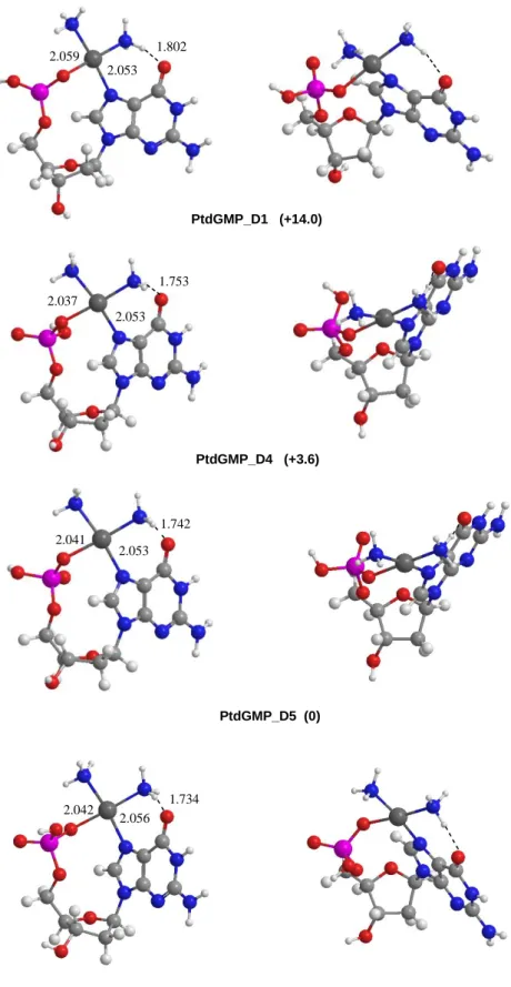 Figure 2. Geometries and relative free energies (kJ mol -1 ) for the most stable structures of cis- cis-[Pt(NH 3 ) 2 (5’-dGMP–H)] +  ions calculated at the B3LYP/6-311G** level