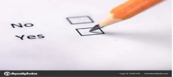 Figure 01: Questionnaire