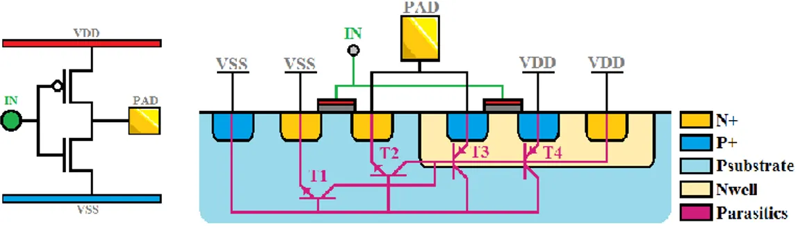 Figure 7: Output buffer schematic and silicon structure with parasitic bipolar transistors 
