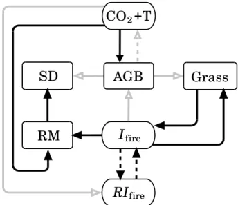 Figure 8. Interaction loops between and among aboveground woody biomass (AGB), stocking density (SD), recruitment of juveniles after ﬁre (RM), and grass biomass (Grass) in miombo woodland, and ﬁre intensity ( I ﬁre ), ﬁre return interval ( RI ﬁre ), and wa