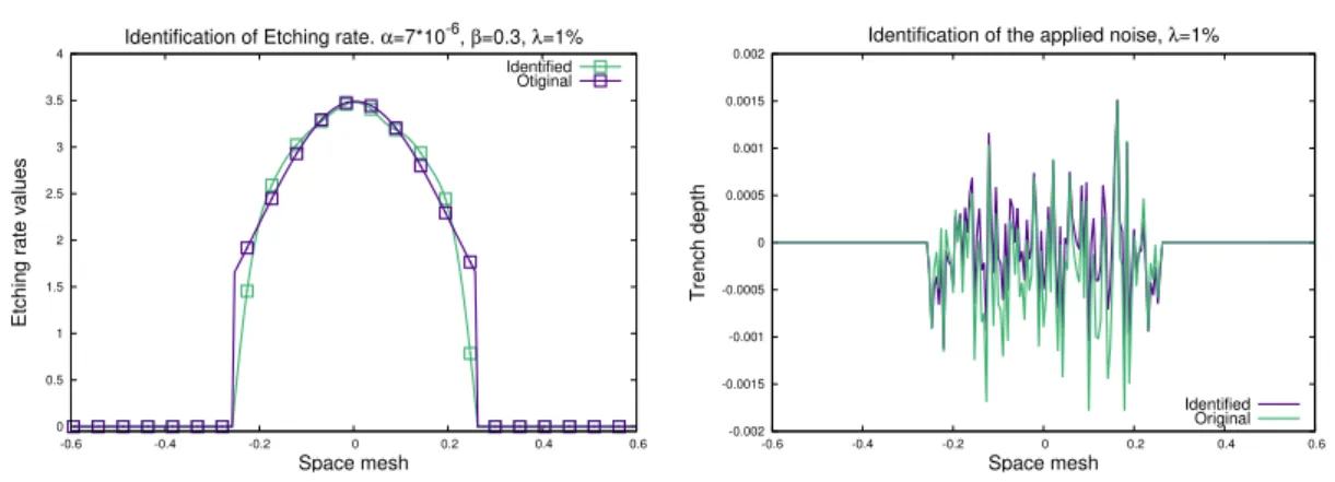 Figure 5.10: Coupled identification of the Etching rate function and applied noise with level equal to 1%.