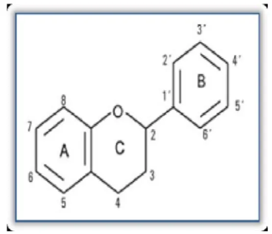 Figure 2 : Structure de base des flavonoïdes. 