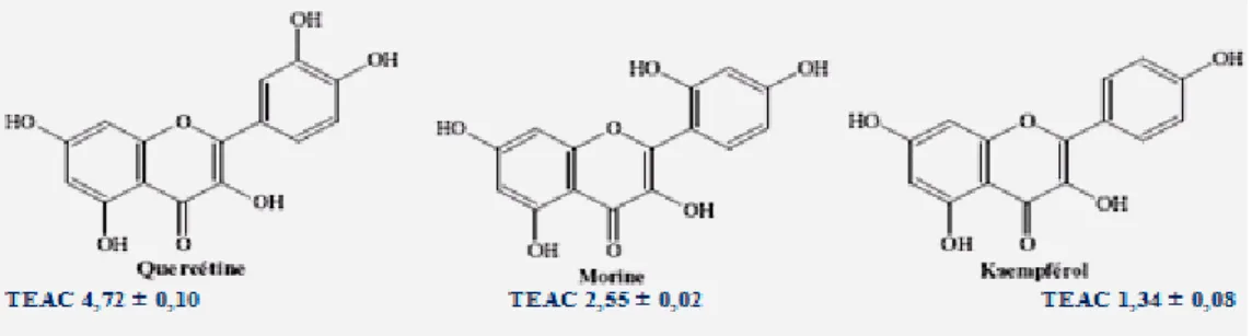Figure 8: Valeurs de TEAC montrant l’importance du groupement catéchol au  niveau du cycle B pour l’activité antioxydante des flavonols(Rice-Evans, 1996)