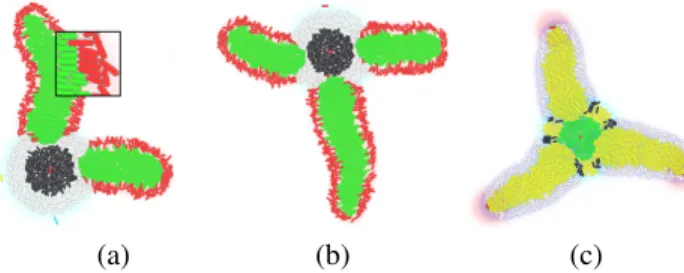 Figure 1: Example of simulated organisms. (a,b) T and L shapes.