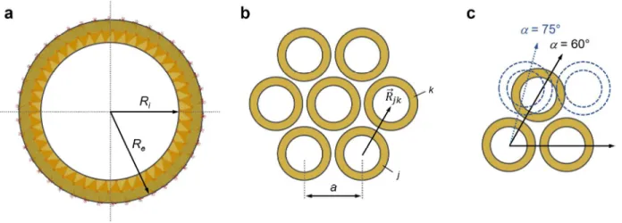 Figure  3.  Schematic  representations  of:  (a)  a  single-walled  nanotube,  in  the  homogeneous  approximation, perpendicularly to its long axis; (b) nanotubes arranged on a 2D hexagonal lattice  drawn  in  the  plane  perpendicular  to  the  tubes  ax