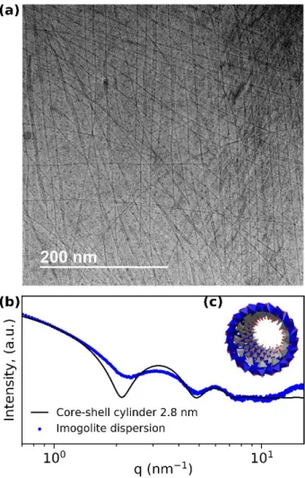 Figure 1. (a) Cryo-TEM picture of imogolite. Globular structures are allophane and proto-imogolite