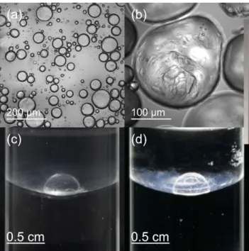 Figure  8.  (a),  (b)  Water  in  oil  emulsion,  stabilized  by  sample  A5  in  toluene