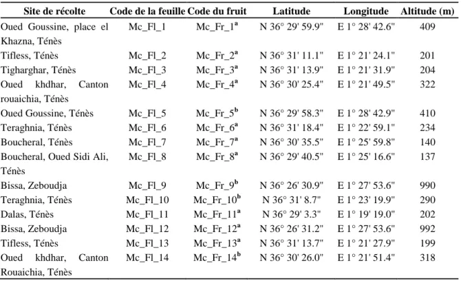 Tableau IV: Sites de collecte et identification des échantillons de feuilles et de fruits  séchés de Myrtus communis L