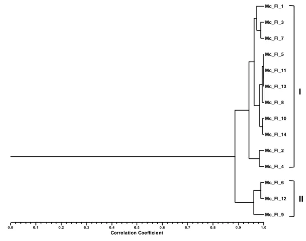 Figure  8:  Dendrogramme  obtenu  par  l'analyse  de  groupes  de  la  composition  en  pourcentage  des  huiles  essentielles  isolées  des  feuilles  de  Myrtus  communis  L