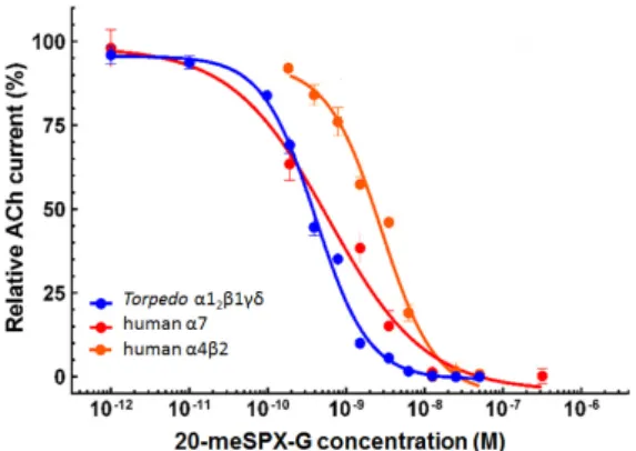 Figure 5.  Concentration‐dependent inhibition  of ACh‐elicited  nicotinic currents  by  20‐meSPX‐G in  Torpedo  α1 2 β1γδ  (blue  curve);  human  α7  (red  curve);  and  human  α4β2  (orange  curve)  nAChRs  incorporated  or  expressed  in  Xenopus  oocyte