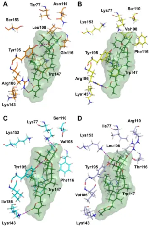 Figure 7.  Protein‐ligand  interactions  in the  docking  complexes  of  20‐meSPX‐G  (green)  with  four  nAChR subtypes. (A) human α7 (orange, α7‐α7 interface); (B) human α4β2 (yellow, α4‐β2 interface); 