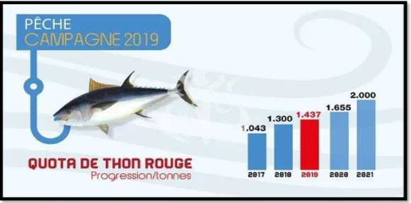 Figure 1 : Quota de thon rouge des côtes algériennes (MADRP, 2019) 