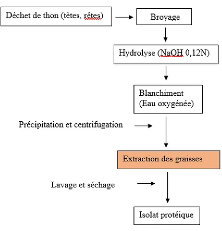 Figure 09 : Diagramme de fabrication d’un isolat protéique et récupération des lipides  d’après (Sajot, (1979) 