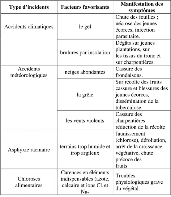 Tableau  n°03:  Les  maladies  d’origine  abiotiques  de  l’olivier  (Loussert  et  Brousse,  1978)  