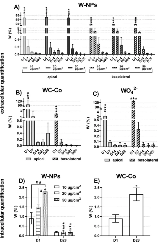 Figure 5. Transepithelial passage of W and cellular accumulation: extracellular quantification of (A)  W-NPs, (B) WC-Co, (C) WO 42−  and intracellular quantification of (D) W-NPs, (E) WC-Co