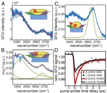 Fig. 1C shows the static spectrum obtained from negative time delays from the time-resolved vSFG experiments, which clearly