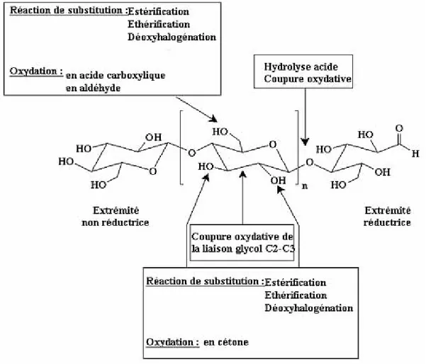 Figure 2.1.7 : Modifications chimiques les plus rencontrées en relation avec la structure  du polymère [95] 
