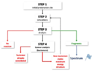 Figure 2. Schematic representation of the procedure used to automatically build the tautomerization  network and fragmentation products