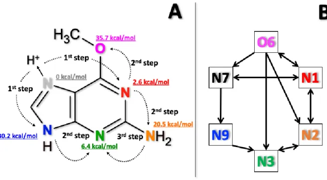 Figure 4. Proton transfer steps and schematic isomerization network observed in O 6 -Me-G chemical dynamics  simulations
