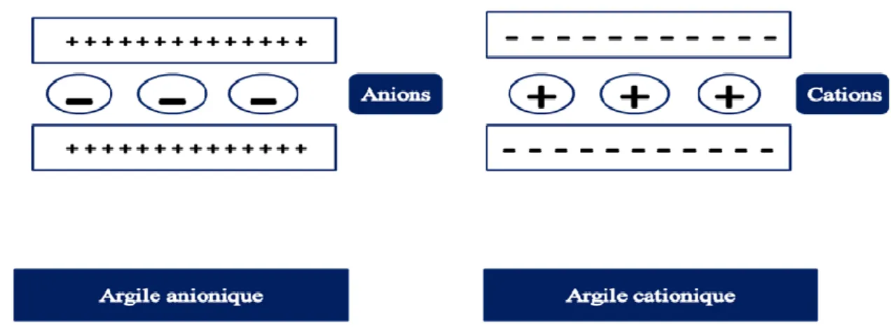 Figure I.1 : Schéma simplifié des argiles cationiques et anioniques. 