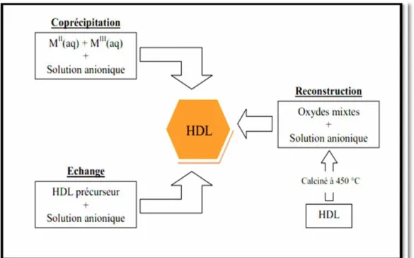 Figure I.4 : Méthodes de modification des HDLs [23]. 