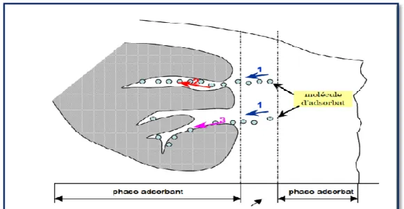 Figure III.1. Transfert et fixation d’un adsorbat sur un grain de solide [48]. 