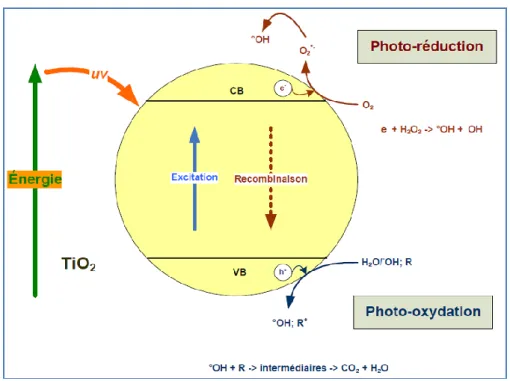 Figure III.2 : Excitation d’une particule de semi-conducteur sous l’effet d’irradiation  (d’après Fujishima et al