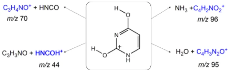 Figure 4. Major fragmentation channels obtained in our MS/MS  experiments. 