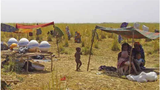 Figure 4. Campement peul (mbokolodji) sur une île du lac Tchad, à la frontière Nigeria-  Cameroun, 2012