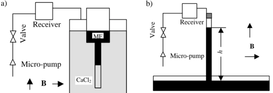 Fig. 1. Experimental cells for investigation of magnetic fluid penetration at zero gravity (a) and under gravity (b)