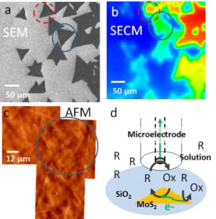 Figure 1 shows the combination of SEM, AFM and SECM images taken on the same area containing  CVD  MoS 2   flakes