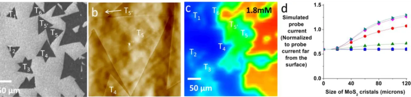Figure  3.  (a)  SEM  image  of  CVD-grown  MoS 2   monolayer  (b)  AFM  image  of  a  MoS 2   triangle