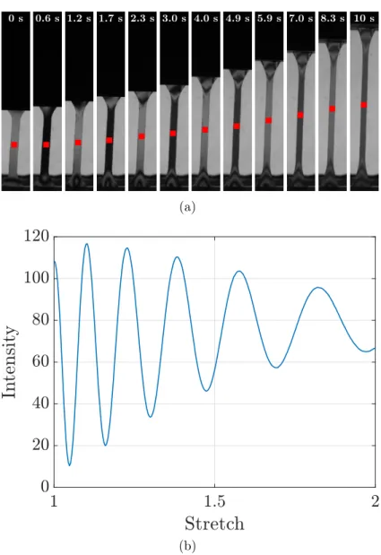 Figure 9: Birefringence experiment during uniaxial tension of PVB at a constant stretch rate of 0.1 s −1 and a temperature of 20 ◦ C