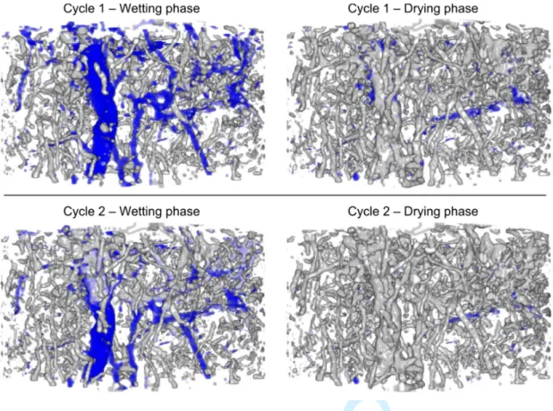 Fig. 5. Three-dimensional distribution of the air phase (grey) and the water phase (blue) at the end of the  wetting phase and at the end of the drying phase for the two wetting-drying cycles