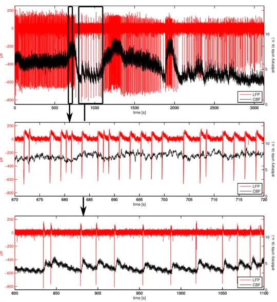 Figure 2.10: Local field potential (LFP, red) and cerebral blood flow (CBF, black) were recorded simultaneously in a rat’s cortex