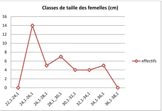 Figure 18 : Evolution des femelles en fonction de la taille chez Scomber japonicus  (Houttuyn, 1780)