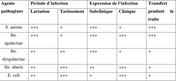 tableau  4  résume  les  caractéristiques  épidémiologiques  et  pathogéniques  des  principales  espèces bactériennes responsables de mammites