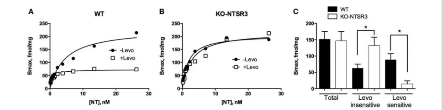 FIGURE 1 | Binding of 125 I-NT to brain homogenates from WT and NTSR3/sortilin KO mice