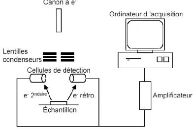 Figure 4 : schéma de principe d’un microscope électronique à balayage. 