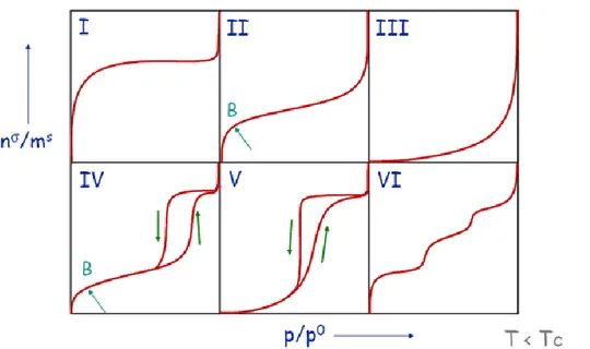 Figure 7 : Classification des isothermes d’adsorption observées pour les systèmes  solide-gaz [7] 