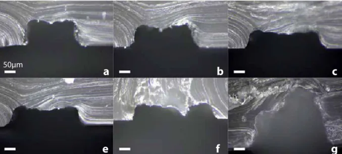 Figure 6.  Surface roughness of fabricated channels.