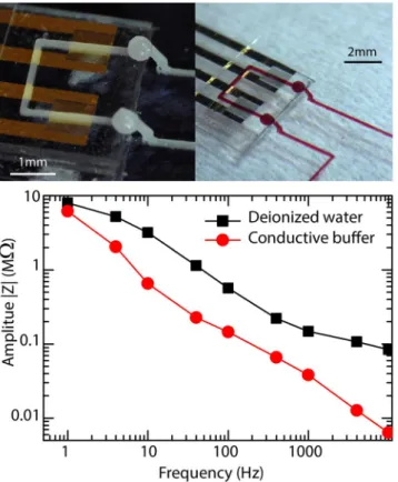 Figure 8.  Top. Interdigitated gold electrodes integrated in a microfluidic channel by RPVM
